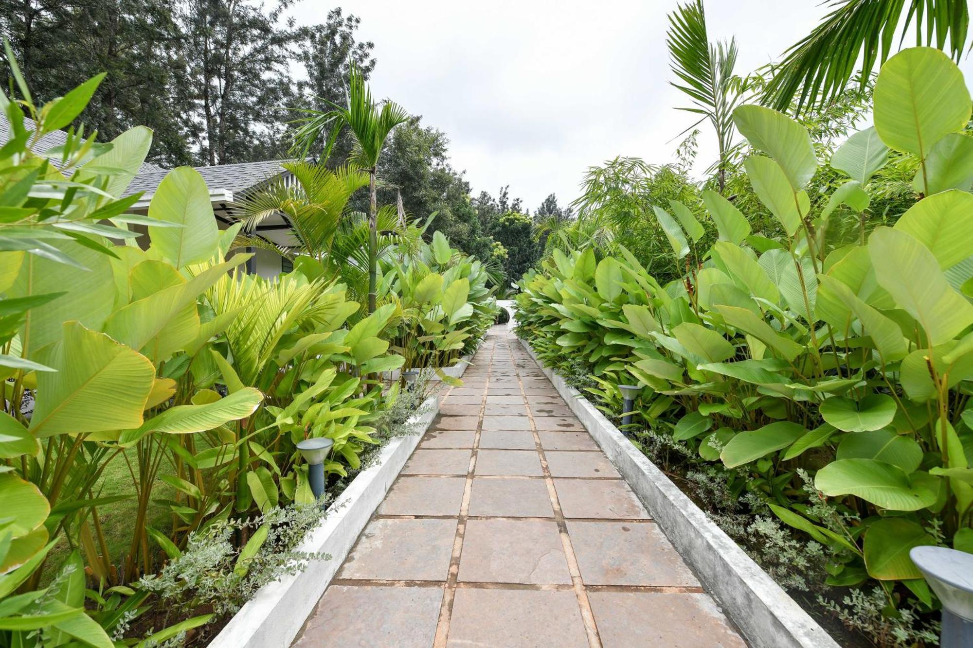 Inventree Aranya Resort & Spa 마디케리 외부 사진